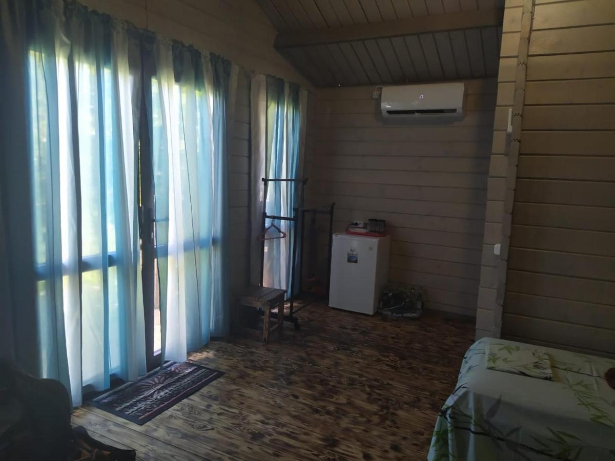 Guest house Lev Pizunda Extérieur photo